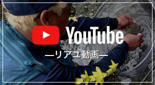 YouTube ―リアユ動画―