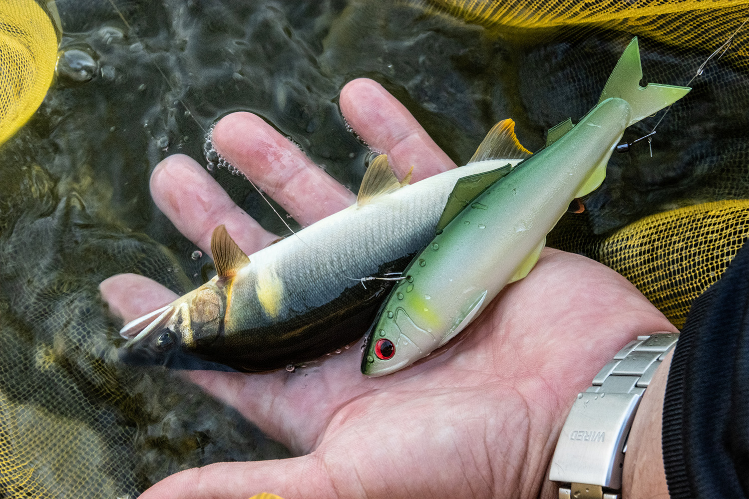ゆっち　1208 rs-08f_04size2.jpg