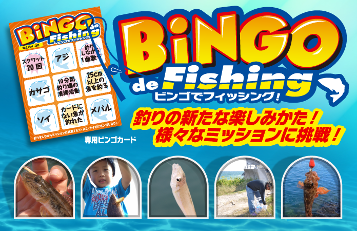 bingo top